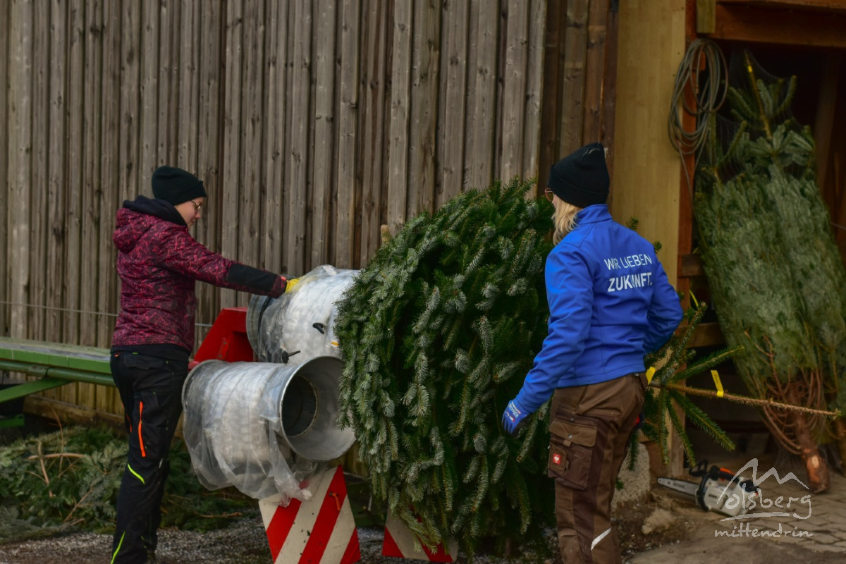 Weihnachtsmarkt Sonntag