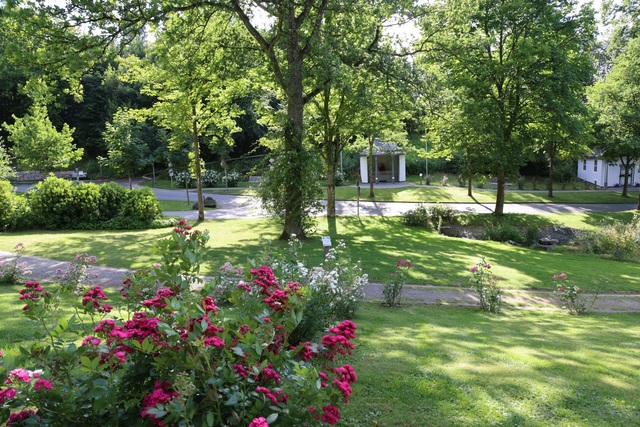 Meditation und Gebet Rosenverein assinghausen eV klein