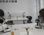 sekundarschuleint132