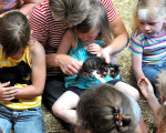 20090718 1137450531 ferientag bauernhof 19