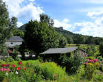 20090718 1264240373 ferientag bauernhof 3