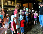 20090718 1658411476 ferientag bauernhof 6
