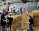 20090718 1936863181 ferientag bauernhof 13