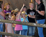 20090719 1383522200 ferientag bauernhof 26