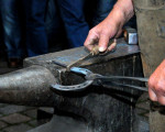20091001 1018371770 huf nagelschmiedint 14