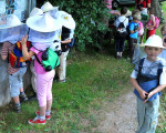 20090704 1026623801 kindergarten imkerint 10