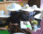 20090704 1810570634 kindergarten imkerint 20