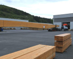 20090428 1653616062 leimbindertransport 9