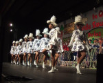 20090226 1119463345 dscf0038