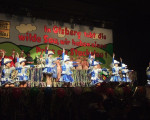 20090226 1225787119 dscf0059