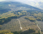 20091023 1443983827 auf olsberg