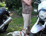 20090818 1336960119 motorrad openair festival 46