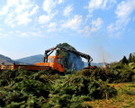 20090412 1124579623 osterfeuer09 3