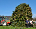 20090412 2075956084 osterfeuer09 1
