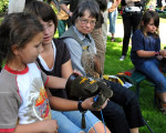 20081229 1191789548 sommerfest 104
