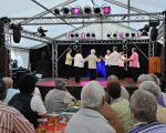 20090921 1542339240 stadtfest int 37