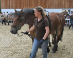 20090716 1324271154 stutenschauint 12