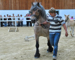 20090716 1481382487 stutenschauint 5