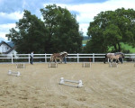 20090716 1852490417 stutenschauint 14