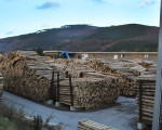 20091112 1138822198 pieperholzint 6