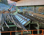 20091112 1305530355 pieperholzint 11