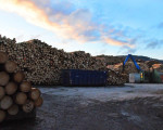 20091112 1346609096 pieperholzint 16