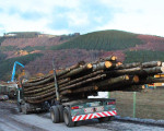 20091112 1359914936 pieperholzint 10