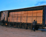 20091112 1432092083 pieperholzint 28