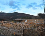 20091112 1715590020 pieperholzint 7