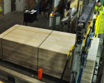 20091112 1943165069 pieperholzint 26