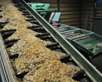20091112 2095944626 pieperholzint 25