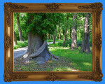 parklandschaft 20190925 1431000176