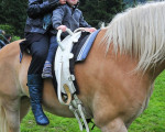 auch im regen macht reiten spass 20100830 2003544173