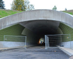 20091026 1348529971 tunnel 84