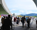 gegen sueden 20100823 1315055117