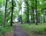  20100529 1173297840