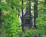  20100529 1246389573