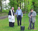 hier wird der baum gut wachsen 20100529 1063000336
