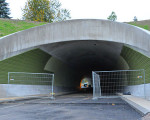 20091015 1352761707 tunnel 84