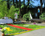 liebevolle vorbereitungen 20100603 1195622766