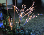  20101115 1556582339