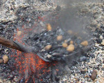  20100906 1488838331