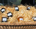 geschaeftswelt 20100906 1311449118