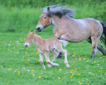 lebensfreude 20100526 1161709854
