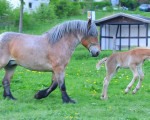 lebensfreude 20100526 1604574348
