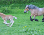 lebensfreude 20100526 1768711899