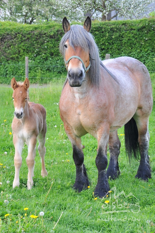 schaut her meine juengste tochter 20100526 1715341866