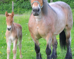schaut her meine juengste tochter 20100526 1715341866
