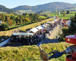 ein tag zum feiern 20101010 1381165290