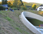 zaungaeste 20101011 1609304148